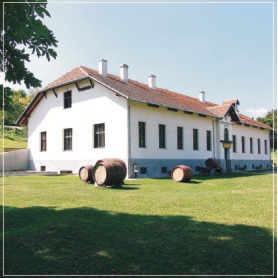 Muzej vinarstva i vinogradarstva Aleksandrovac Župa u podrumu Poljoprivredne škole sagrađenom u provansalskom stilu